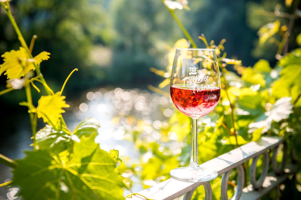Kaatschen-Thüringer-Weinstube-Weinblick