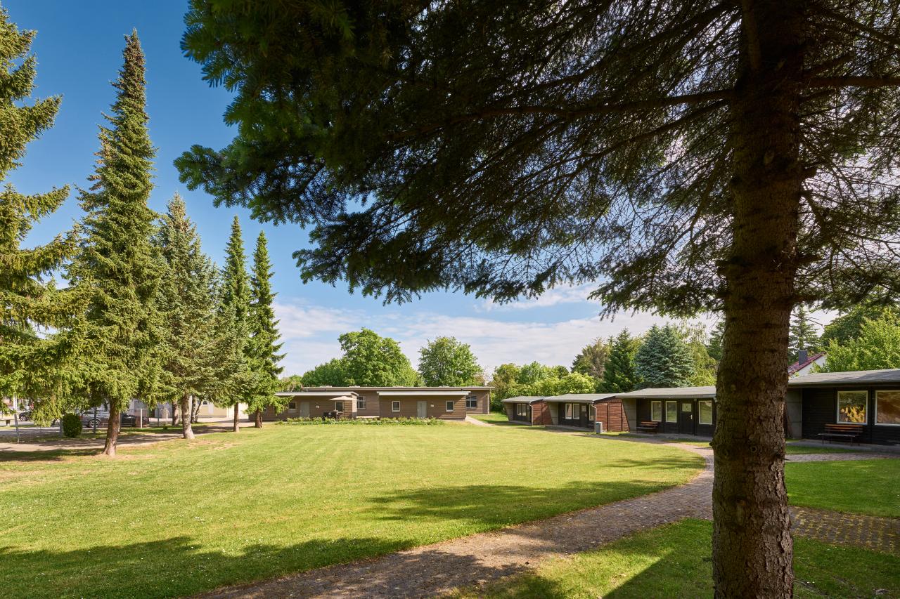 Weitläufige Grünfläche mit Ferienbungalows und hohen Nadelbäumen auf dem Campingplatz am Schwanenteich bei Sonnenschein